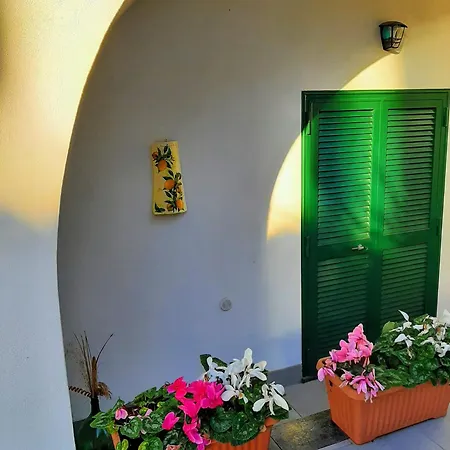 Lemon Tree Nel Holiday home Torre Annunziata