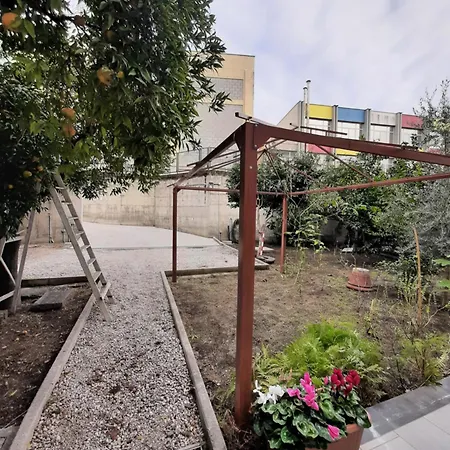 Lemon Tree Nel * Torre Annunziata